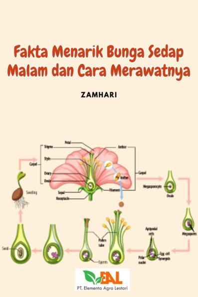 Fakta Menarik Bunga Sedap Malam dan Cara Merawatnya